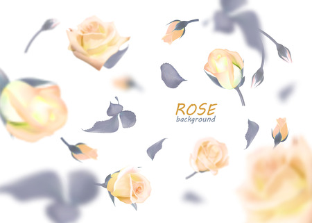 The buds of gently peach roses are flying in a whirlwind. Quality realistic vector, 3Dのイラスト素材