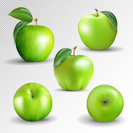 Green apples collection isolated on a transparent background.のイラスト素材