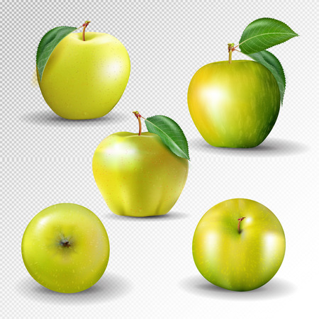 Yellow apple collection. Set of fruits and leaf isolated on white. Vector, 3Dのイラスト素材
