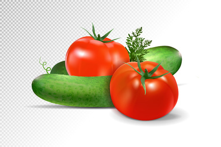 Cucumbers and tomatoes composition on transparent background.のイラスト素材