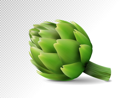 Fresh green Artichokes on transparent background. Realistic vector eps10, 3d illustrationのイラスト素材