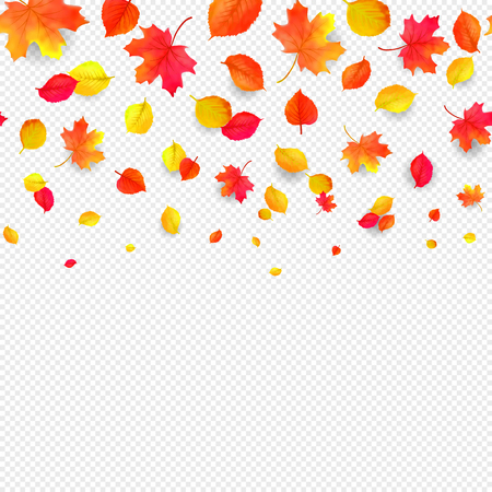 Seamless border pattern of falling autumn leaves. Vectorのイラスト素材