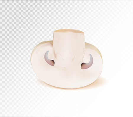 Half of champignon mushroom. Quality realistic vector, 3dのイラスト素材