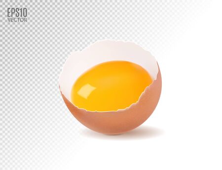 Vector of eggs smashed transparent background. Realistic, 3dのイラスト素材