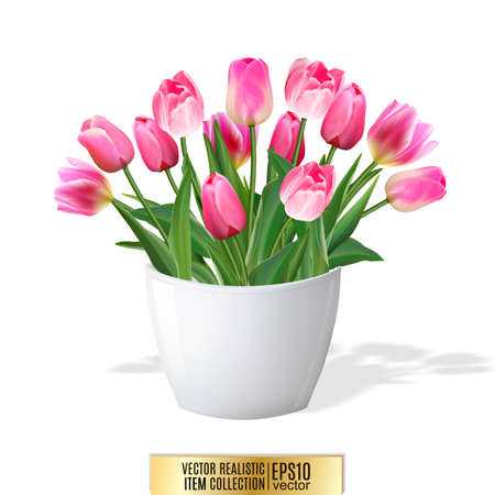 Bouquet of pink tulips in vase isolated on white backgroundのイラスト素材