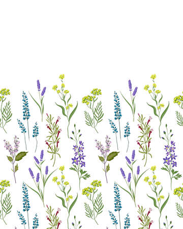 Horizontal seamless multicolor pattern of simple wildflowers. Small multi-colored flowers. Modern floral background. Elegant template for fashion prints.のイラスト素材