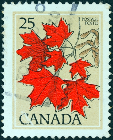CANADA - CIRCA 1977: A stamp printed in Canada shows Sugar maple leaves, circa 1977. のeditorial素材