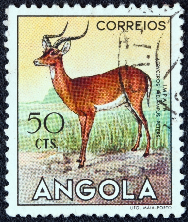 ANGOLA - CIRCA 1953: A stamp printed in Angola from the "Angolan fauna" issue shows an Impala, circa 1953.のeditorial素材