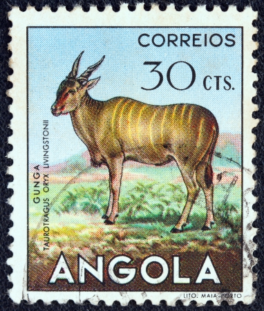 ANGOLA - CIRCA 1953: A stamp printed in Angola from the "Angolan fauna" issue shows a Taurotragus oryx, circa 1953.のeditorial素材