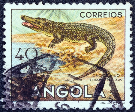 ANGOLA - CIRCA 1953: A stamp printed in Angola from the "Angolan fauna" issue shows a crocodile, circa 1953.のeditorial素材