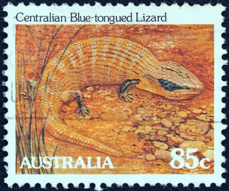 AUSTRALIA - CIRCA 1981: A stamp printed in Australia from the "Wildlife" issue shows a Centralian blue-tongued lizard, circa 1981.のeditorial素材