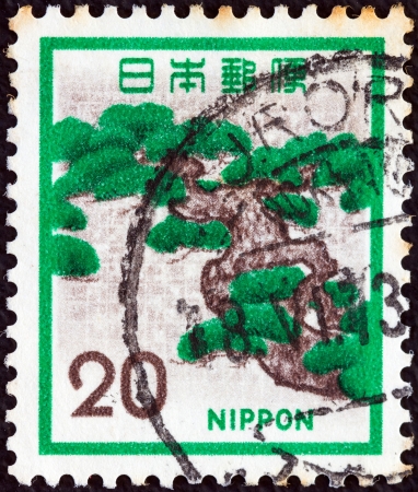 JAPAN - CIRCA 1971: A stamp printed in Japan shows a Pine tree, circa 1971. のeditorial素材