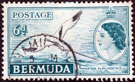 BERMUDA - CIRCA 1953: A stamp printed in Bermuda shows White-tailed tropic bird and queen Elizabeth II, circa 1953. のeditorial素材