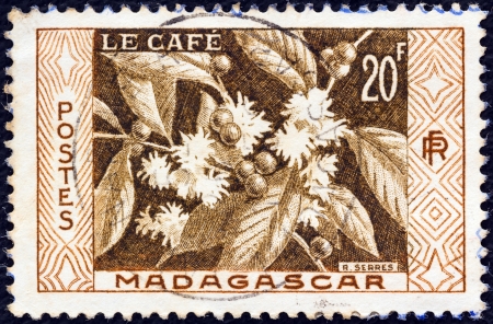 MADAGASCAR - CIRCA 1956: A stamp printed in Madagascar shows Coffee, circa 1956. のeditorial素材