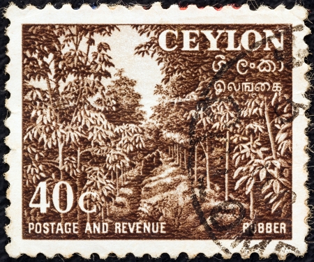 CEYLON - CIRCA 1951: A stamp printed in Ceylon shows a rubber plantation, circa 1951. のeditorial素材