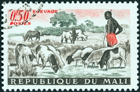 MALI - CIRCA 1961: A stamp printed in Mali shows sheep at pool, circa 1961. のeditorial素材