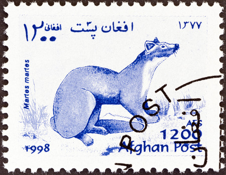AFGHANISTAN - CIRCA 1998  A stamp printed in Afghanistan from the  Wildlife  issue shows a European pine marten  Martes martes , circa 1998 のeditorial素材