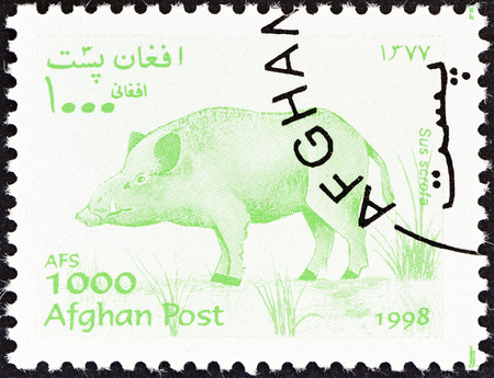 AFGHANISTAN - CIRCA 1998  A stamp printed in Afghanistan from the  Wildlife  issue shows a Wild boar  Sus scrofa , circa 1998 のeditorial素材