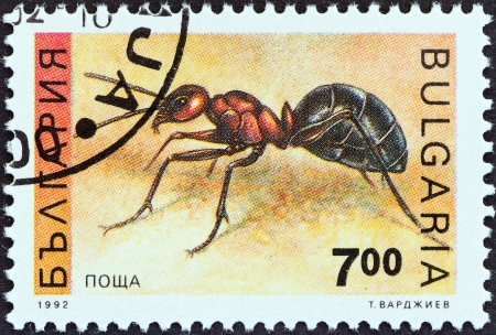 BULGARIA - CIRCA 1992  A stamp printed in Bulgaria from the  Insects  issue shows an Ant, circa 1992  のeditorial素材
