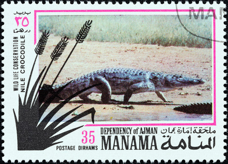 MANAMA DEPENDENCY - CIRCA 1971  A stamp printed in United Arab Emirates from the  Wildlife conservation  issue shows a Nile Crocodile  Crocodylus niloticus , circa 1971  のeditorial素材