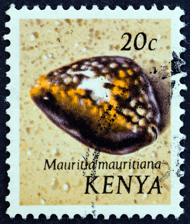 KENYA - CIRCA 1971: A stamp printed in Kenya from the \\\"Sea Shells \\\" issue shows Humpback cowry (Mauritia mauritiana), circa 1971.のeditorial素材