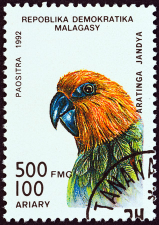 MADAGASCAR - CIRCA 1992: A stamp printed in Madagascar from the \\\\\\\"Birds\\\\\\\" issue shows a Jandaya parakeet (Aratinga jandaya), circa 1992.のeditorial素材