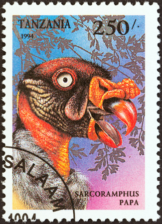TANZANIA - CIRCA 1994: A stamp printed in Tanzania from the \"Birds of Prey\" issue shows King vulture (Sarcoramphus papa), circa 1994.のeditorial素材