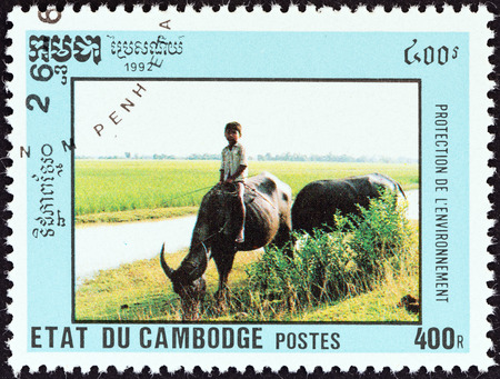 CAMBODIA - CIRCA 1992: A stamp printed in Cambodia from the \\\"Environmental Protection \\\" issue shows boy riding water buffalo, circa 1992.のeditorial素材