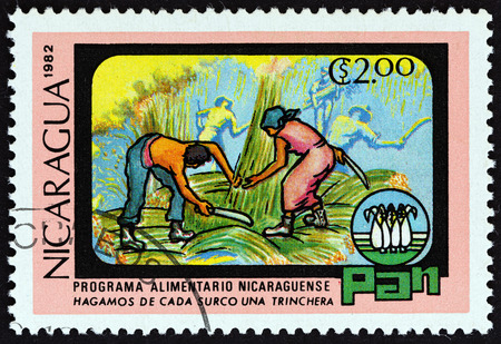 NICARAGUA  CIRCA 1982: A stamp printed in Nicaragua from the "World Food Day " issue shows cutting sugar cane circa 1982.のeditorial素材