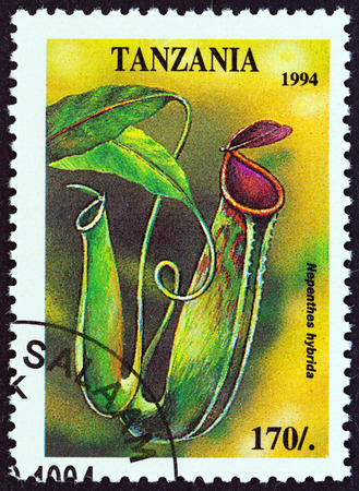 TANZANIA  CIRCA 1994: A stamp printed in Tanzania from the "Tropical Flowers " issue shows Nepenthes hybrida circa 1994.のeditorial素材