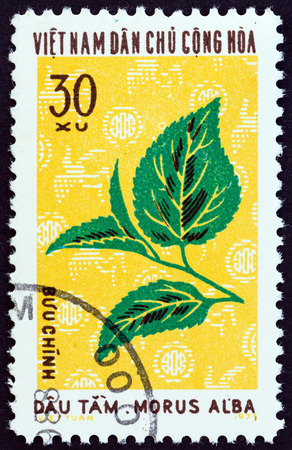 NORTH VIETNAM  CIRCA 1974: A stamp printed in North Vietnam from the "Textile Plants " issue shows White mulberry Morus alba circa 1974.のeditorial素材