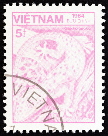 VIETNAM - CIRCA 1984: A stamp printed in Vietnam from the "Plants and Animals " issue shows Tokay gecko Gekko gecko, circa 1984.のeditorial素材