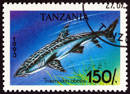 TANZANIA - CIRCA 1993: A stamp printed in Tanzania from the "Sharks " issue shows Whitetip reef shark Triaenodon obesus, circa 1993.のeditorial素材