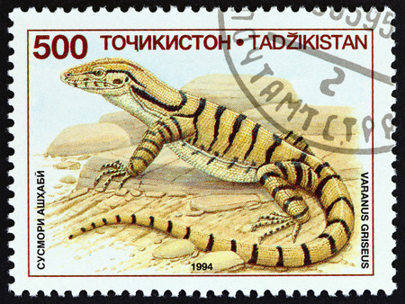 TAJIKISTAN - CIRCA 1995: A stamp printed in Tajikistan from the "Native Lizards " issue shows Transcaspian desert monitor Varanus griseus, circa 1995.のeditorial素材