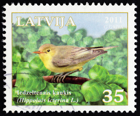 LATVIA - CIRCA 2011: A stamp printed in Latvia from the "Birds of Latvia " issue shows  Icterine warbler Hippolais icterina, circa 2011.のeditorial素材