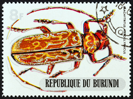 BURUNDI - CIRCA 1970: A stamp printed in Burundi from the "Beetles " issue shows Brachytritus hieroglyphicus, circa 1970.のeditorial素材
