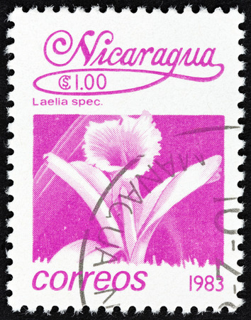 NICARAGUA - CIRCA 1983: A stamp printed in Nicaragua from the "Flowers" issue shows Laelia spec., circa 1983.のeditorial素材