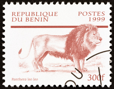 BENIN - CIRCA 1999: A stamp printed in Benin from the "Mammals " issue shows Lion (Panthera leo), circa 1999.のeditorial素材