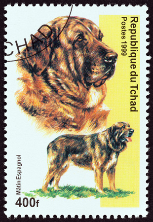 CHAD - CIRCA 1999: A stamp printed in Chad from the "Dogs " issue shows Spanish Mastiff Dog, circa 1999.のeditorial素材