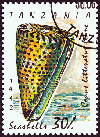 TANZANIA - CIRCA 1992: A stamp printed in Tanzania from the "Shells" issue shows  lettered cone (Conus litteratus), circa 1992.のeditorial素材