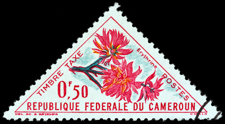 CAMEROON - CIRCA 1963: A stamp printed in Cameroon from the "Flowers" issue shows Erythrine, circa 1963.のeditorial素材