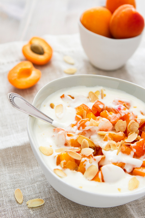 Tasty yogurt with apricots in a white bowlの写真素材