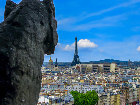 A Gargoyle's Point of View  Notre Dame  Paris Franceの写真素材