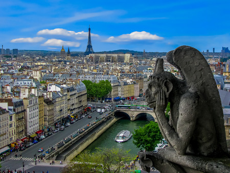 Aerial View of Paris  The Gargoyles of Notre Dame  Paris Franceの写真素材