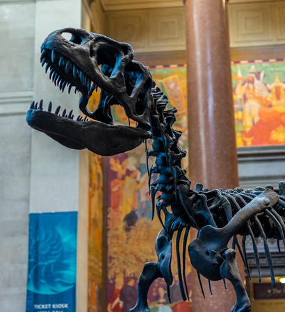New York City Museum of Natural Sciences Dinosaursのeditorial素材