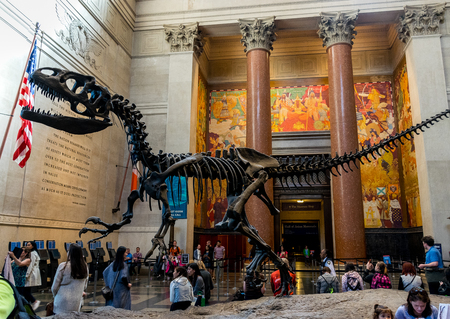 New York City Museum of Natural Sciences Dinosaursのeditorial素材
