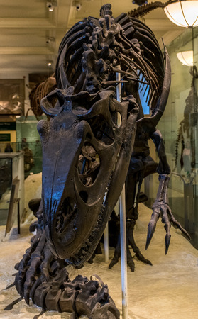 New York City Museum of Natural Sciences Dinosaursのeditorial素材