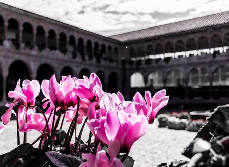 Colonial courtyard at Qoricancha and Santo Domingo in Cusco, Peru.の写真素材