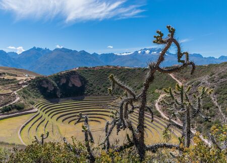 Moray contained large Inca made concentric ring terraces used for mass agriculture experiments in the various microclimates they created on the different terraces in Peru.の写真素材