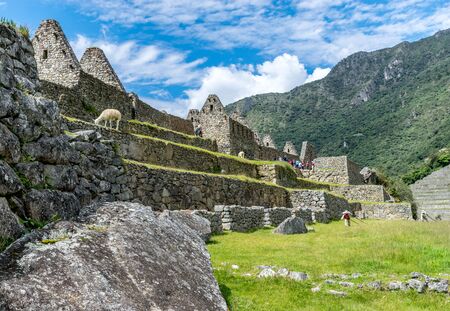 Central Plaza at the Inca site of Machu Picchu in Peru.の写真素材